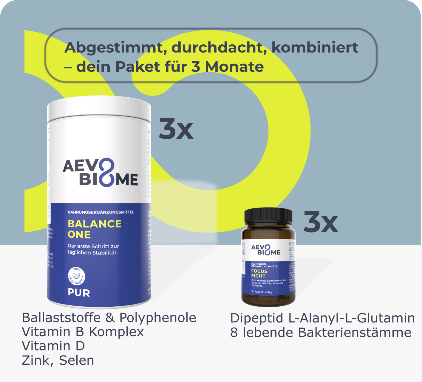 3 Monats-Programm