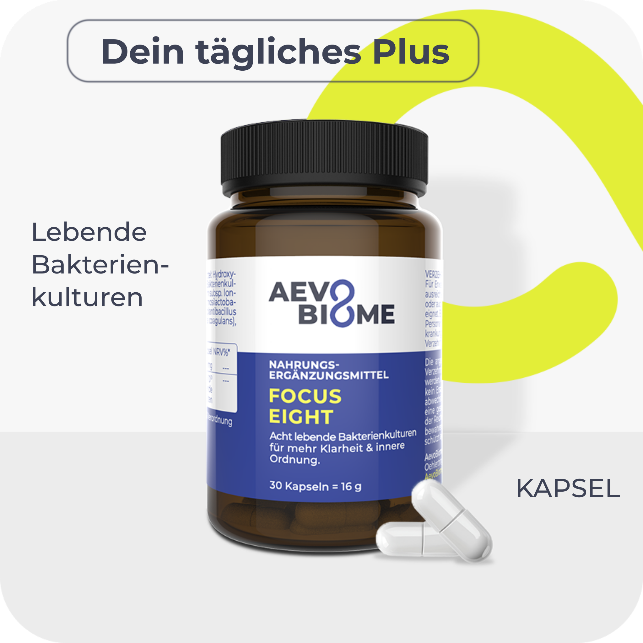 FOCUS EIGHT